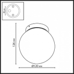 Накладной светильник Odeon Light NATURE 7124/1C