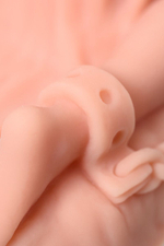 Кукла-мастурбатор с вагиной Isabel без вибрации (Цвет: телесный)