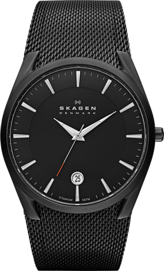 Наручные часы Skagen SKW6009