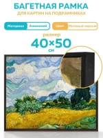 Металлическая багетная рамка 40х50 см