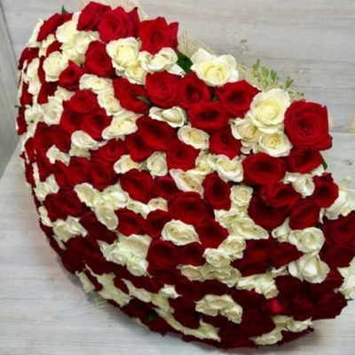 Букет из 301 красно-белой розы ( 70см)