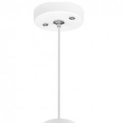 Подвесной светильник Lightstar Rullo RP496437