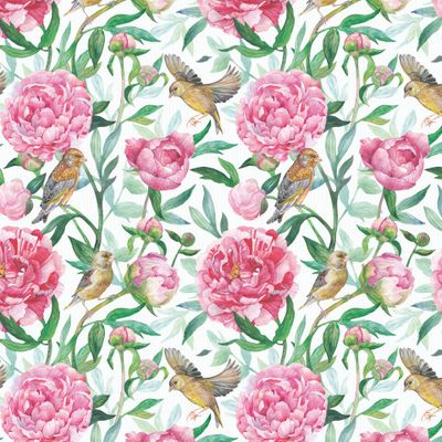 пион и зеленушка на белом фоне