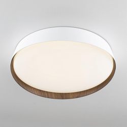 Накладной светильник Citilux BONNY CL754350G