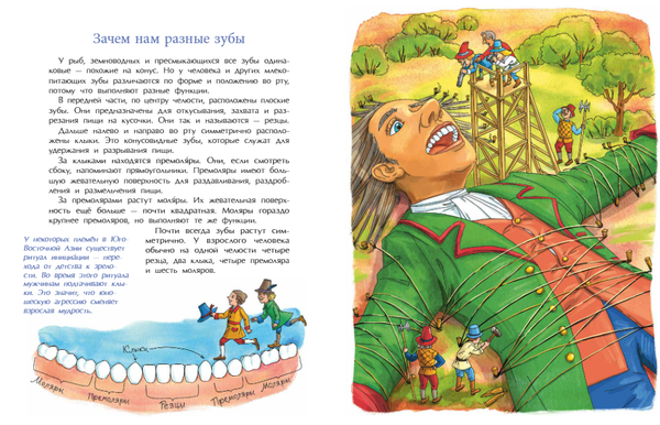 Зубная книжка