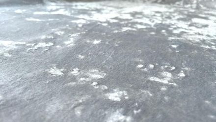 Велюр Джес 39 светло-серый