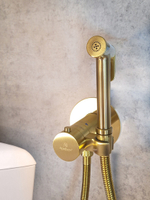 Гигиенический душ с термостатом AltroBagno Oggetto 060403 BG