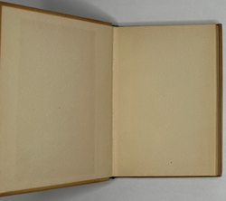 Данте Алигьери. Vita Nova Новая жизнь. Пер. с итал. и прим. А. Эфроса. М-Л., Academia, 1934г. Супер.