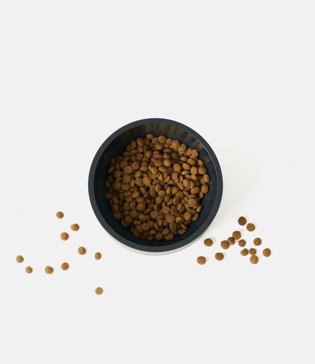 Boo Oh Mogo Bowl Dark Grey — миска для питомца