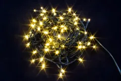 Светодиодная нить 7 м., 220V, 100 теплых белых LED ламп, контроллер, черный провод, Winner Light (ww.01.5B.100-)