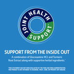 21st Century, Arthri-Flex Advantage + куркума, 90 вегетарианских капсул