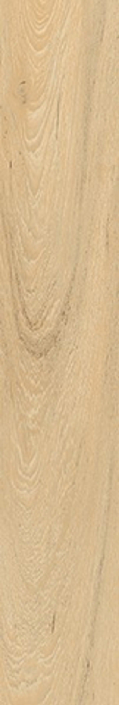 Керамогранит WOOD Oakland Honey MATT + RELIEF (ENWD1056SR20120)