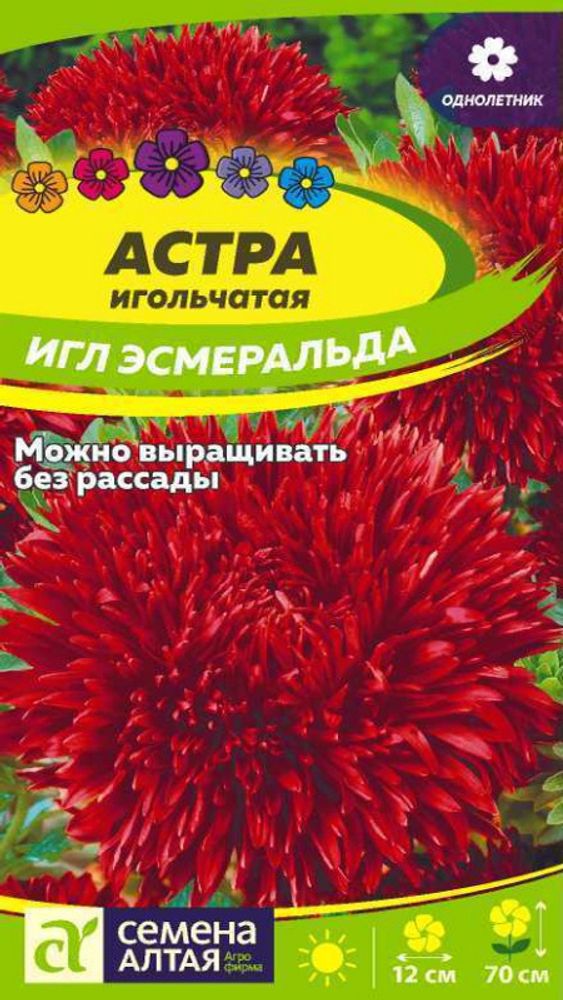 Астра игольчатая &quot;G. Эсмеральда Игл&quot; 0,2г., Россия.