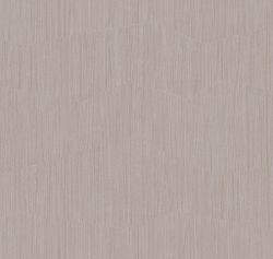 Сканди Дзен Дзен