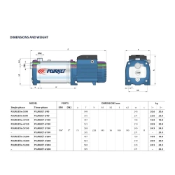 Насос самовсасывающий Pedrollo PLURIJET 3/130, 43PJCI15038A