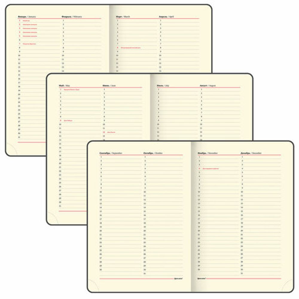 Ежедневник недатированный БОЛЬШОЙ ФОРМАТ 210х297 мм А4, BRAUBERG "Iguana", под кожу, 160 л., черный,114452