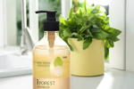 Средство для мытья посуды Beautiful Kitchen Detergent a Forest Container 485ml (Fragrance - FRESH HERB & LEMONGRAS)