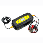 Зарядное устройство Вымпел 22 (2-6А,14.2-16В, IP65) десульфатирующее