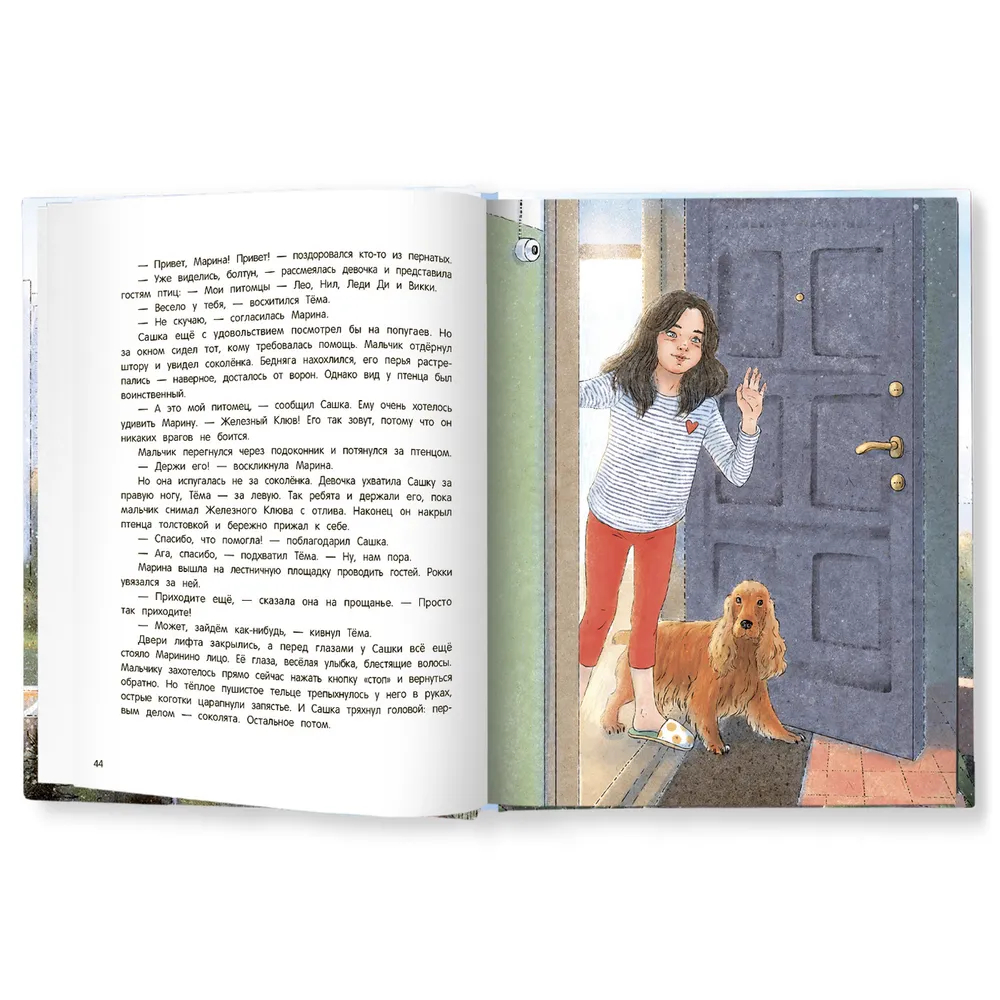 Мои соседи соколы