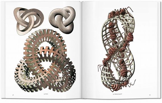 M.C. Escher: The Graphic Work (Basic Art Series 2.0)