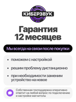 Автомагнитола TS105 13"