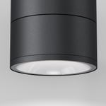 Потолочный светильник Outdoor O310CL-L12GF3K