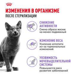 Royal Canin Sterilised 37 Корм сухой сбалансированный для взрослых стерилизованных кошек - 0,2 кг