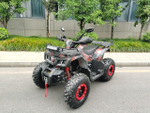 Квадроцикл бензиновый MOTAX GRIZLIK T 200 LUX