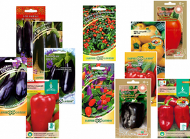 Выбираем сорта перцев и баклажан