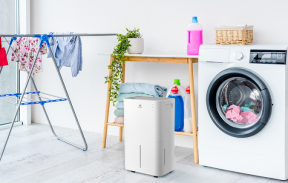 Осушитель воздуха ROYAL CLIMA PACIFIC  Loft RD-PC25-E — (5)