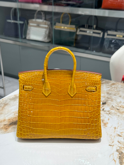 Hermes Birkin 25