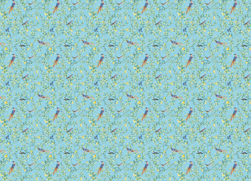 Gloockler Pompoos Provence