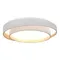 SLE6009-502-01 Светильник потолочный Белый/Белый LED 1*50W 3000K/4000K/6000K CROSBY