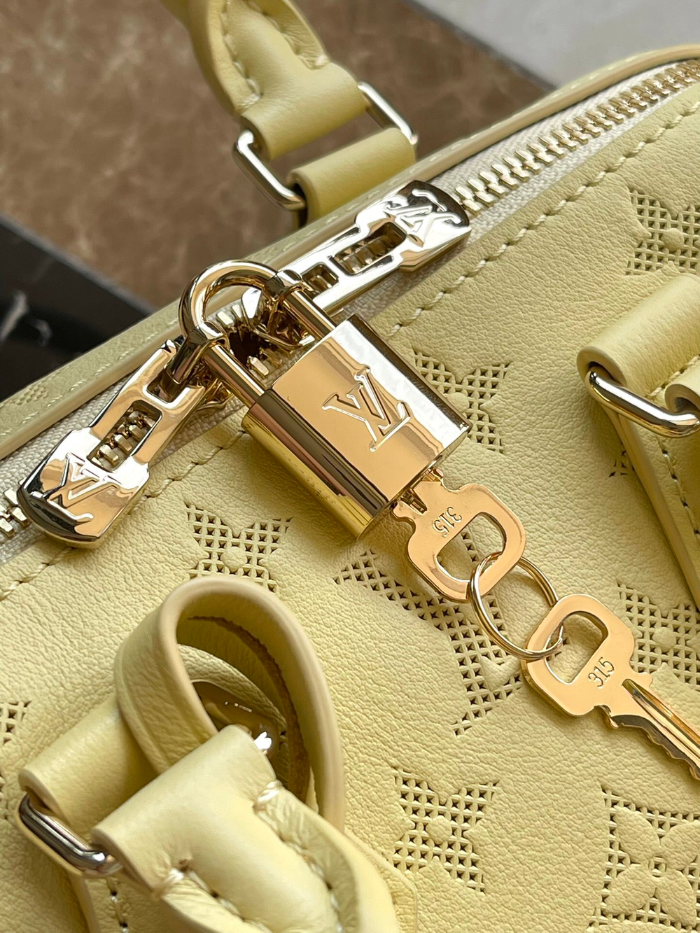 Louis Vuitton Speedy 20