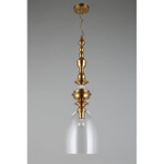 Подвесной светильник Aployt Rena APL.602.16.01