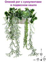 Искусственные растения Олений Рог с суккулентами в подвесном кашпо