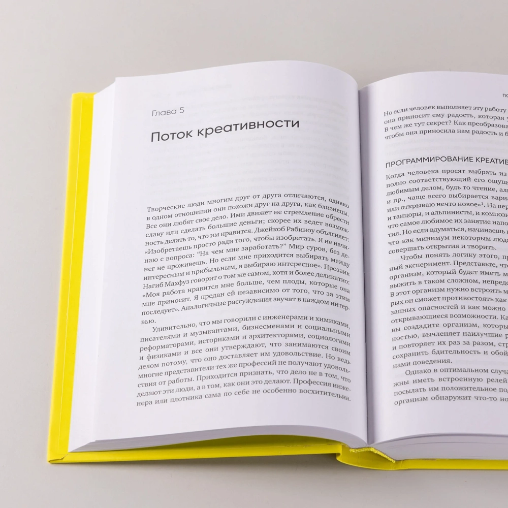 Креативность: Поток и психология открытий и изобретений