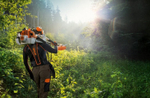 Мотокоса Stihl FS 56, сдвоенный наплечный ремень, косильная головка AUTOCUT 25-2