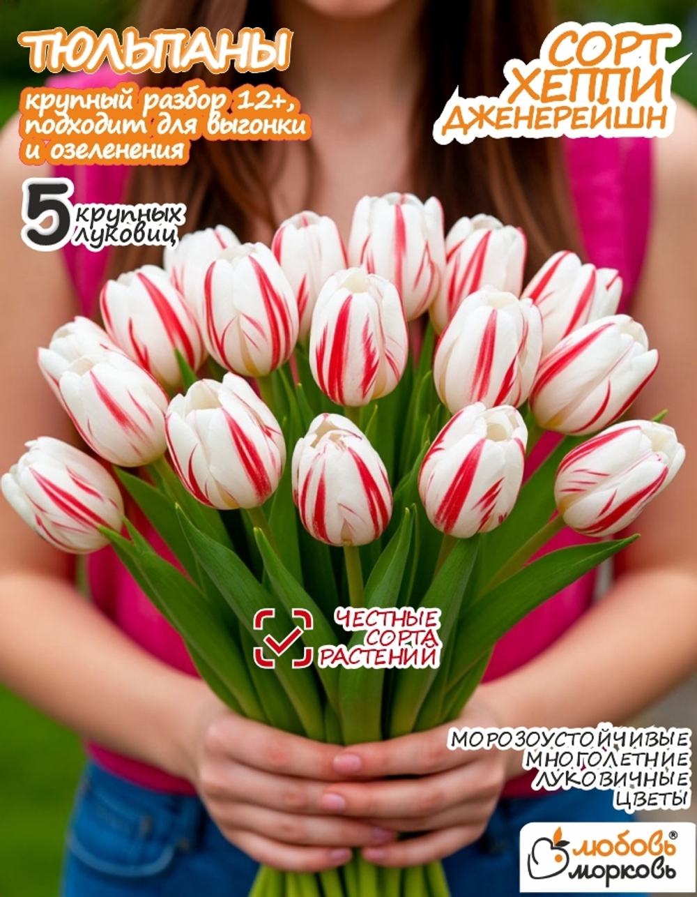 Тюльпан Луковица цветов, Хэппи Дженерейшн, 5 шт