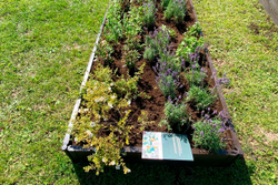 Доска грядочная NauticPrime 225*30*2950мм, венге