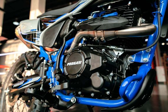 Мотоцикл кроссовый эндуро PROGASI Palma 300