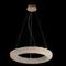 Люстра Citilux CLOUDY CL323162