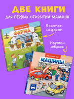 Комплект книг "Как устроен мир?" 2 книги