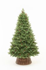 Ель с шишками «Чарующая» (Литая хвоя) 210 см / 2.1 м