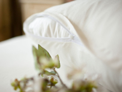 Наволочки 2шт 50x68 German Gras фото