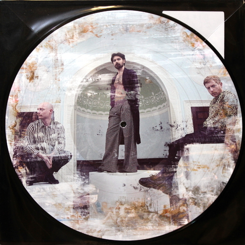 Biffy Clyro / A Celebration Of Endings (Limited Edition)(Picture Disc)(LP)