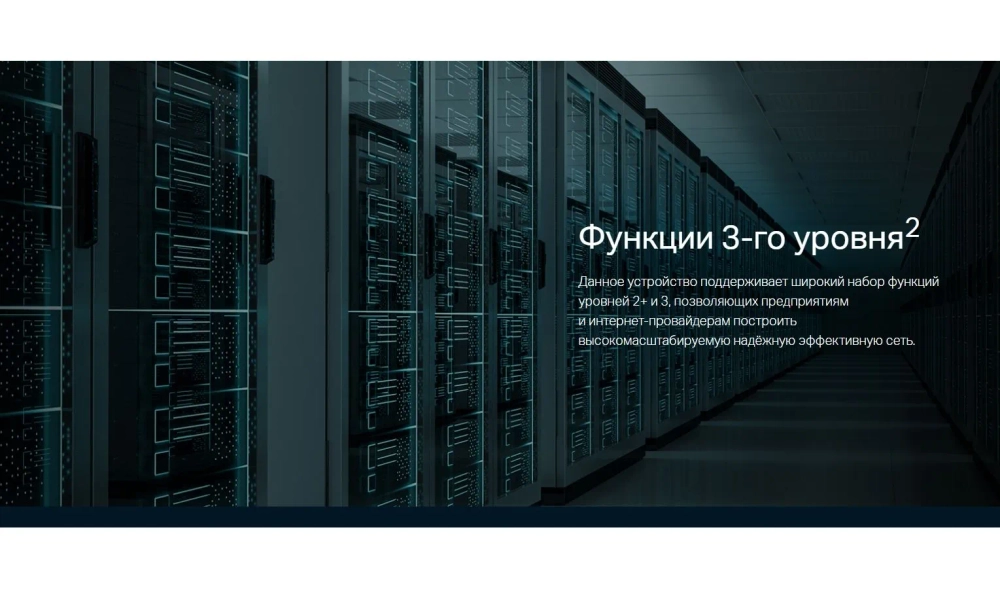 Коммутатор TP-Link Omada (SG3210X-M2)