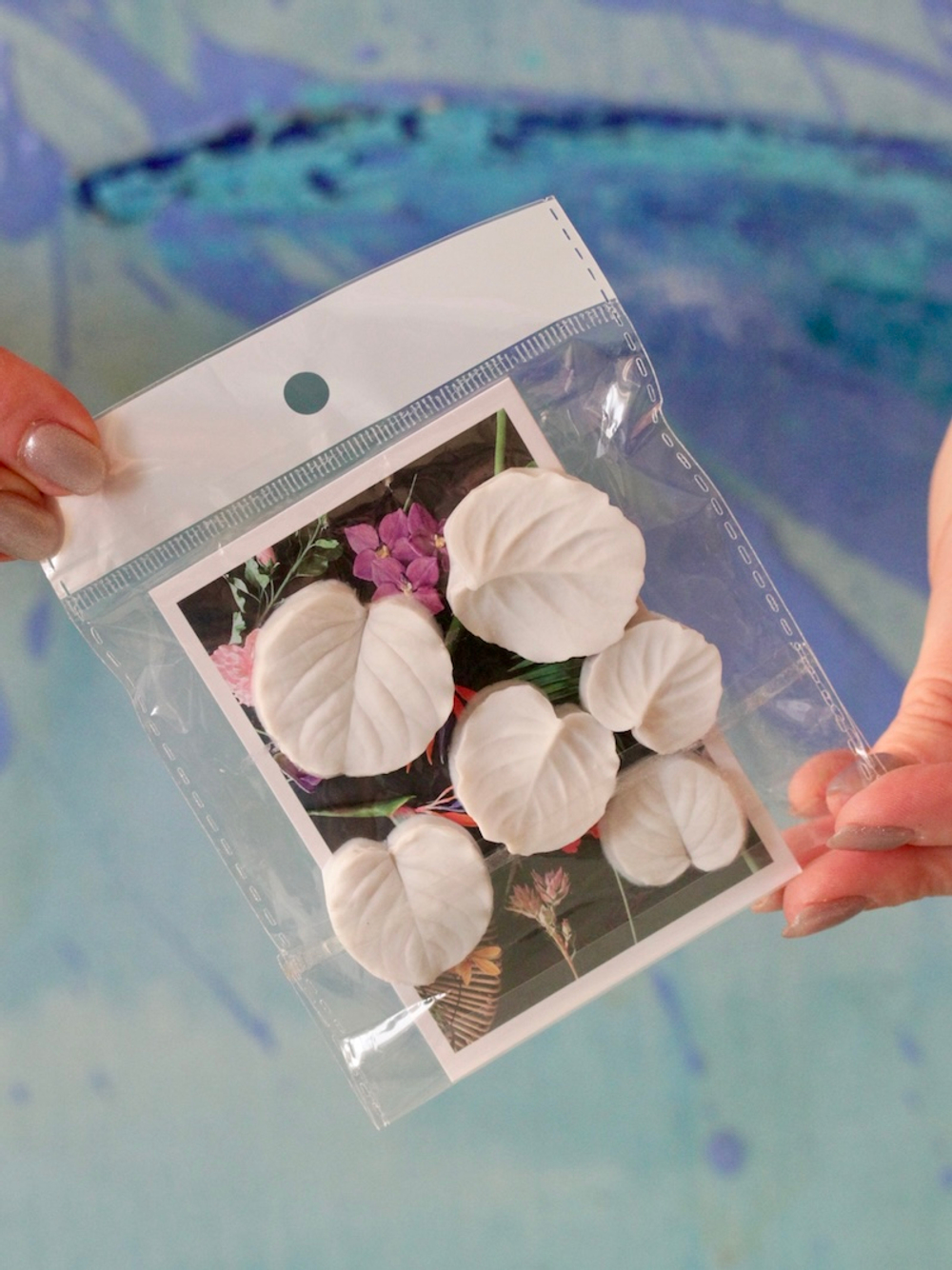 Набор вайнеров для лепки листьев эвкалипта Coprussia