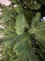 Ель искусственная «Олимпия» (Литая хвоя) 150 см / 1.5 м