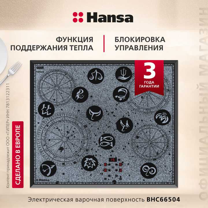 Электрическая панель Hansa BHC66504